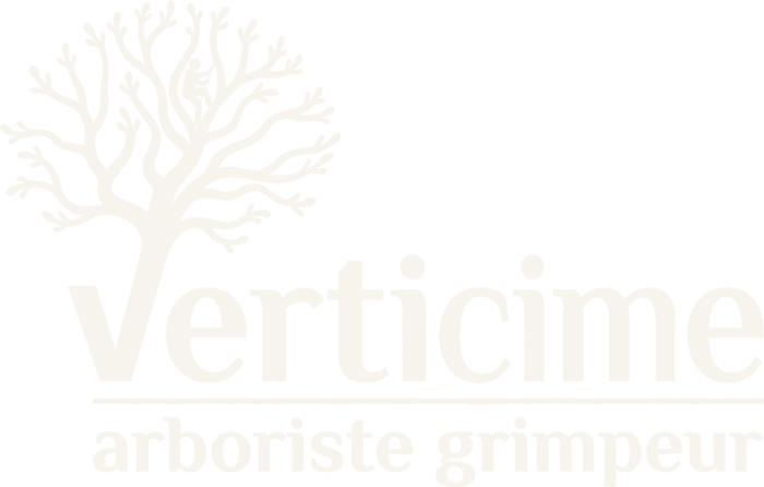 VertiCime — arboriste grimpeur