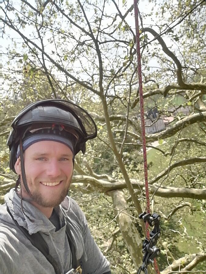 Pierre Delelis, casque et baudrier, en pause dans un arbre pendant un chantier.