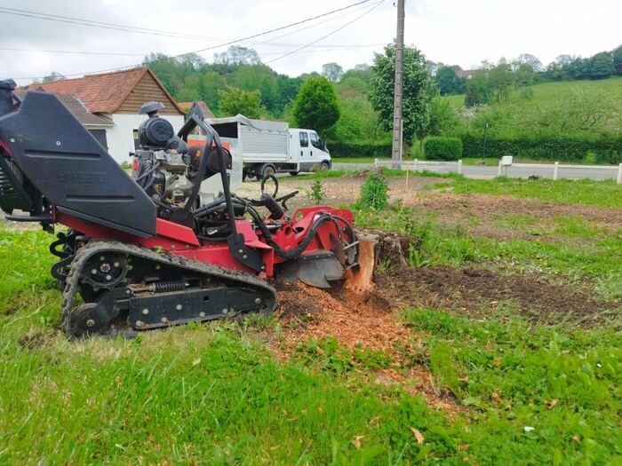 Rogneuse de souche en action, copeaux de bois projetés autour de la souche.